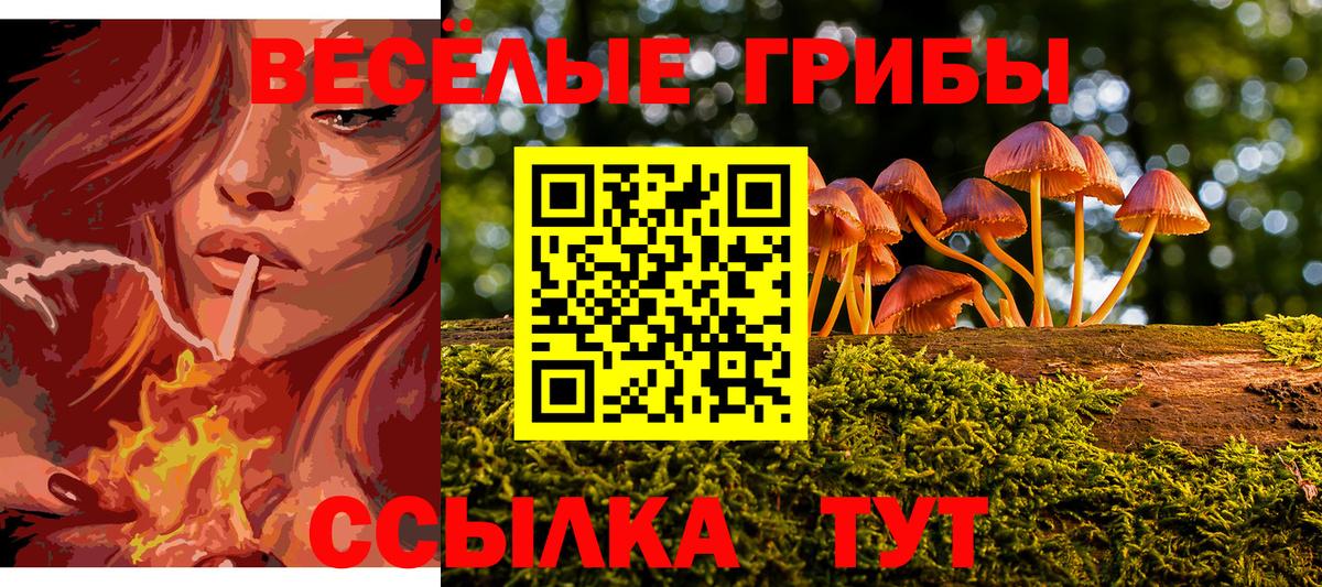 Нижнеудинск  Псилоцибиновые грибы Psilocybe  Псилоцибиновые грибы ЛСД  Вход с VPN 